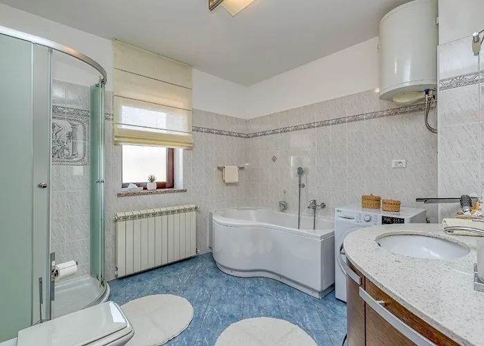 Silvia Ii With Private Pool Apartment Vižinada